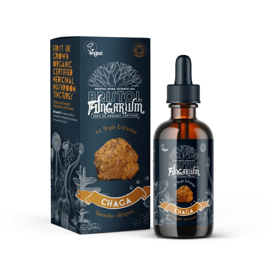 Bristol Fungarium Chaga